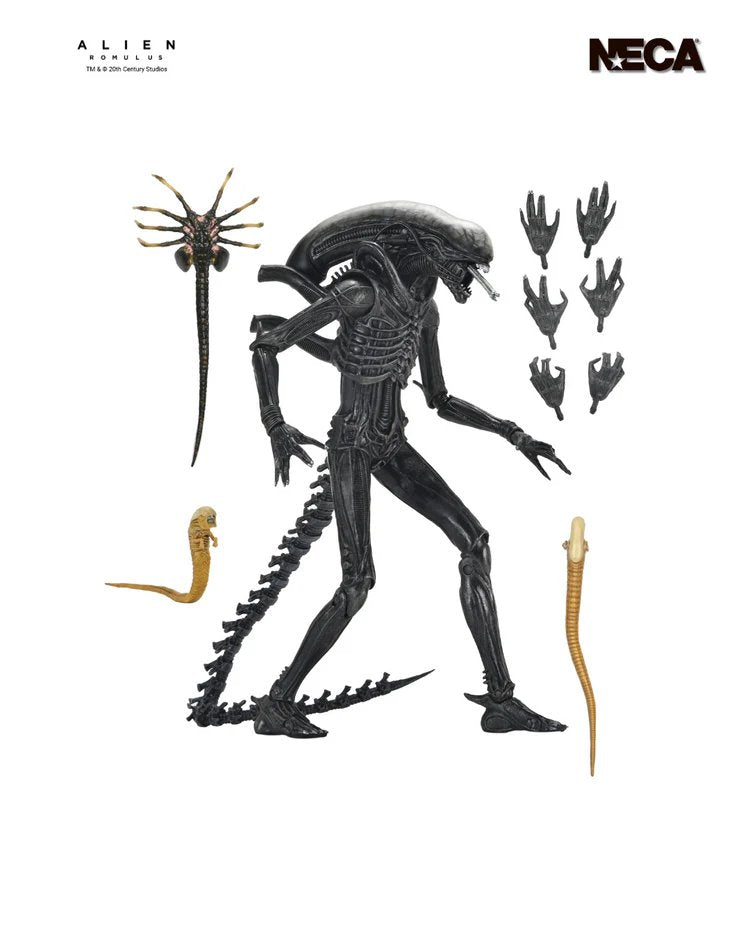 (PRE ORDER) NECA Alien Romulus Ultimate Xenomorph XX121 Figure New