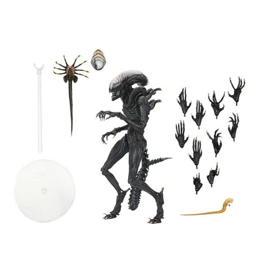 NECA Aliens Romulus Scorched Xenomorph Ultimate Action Figure New